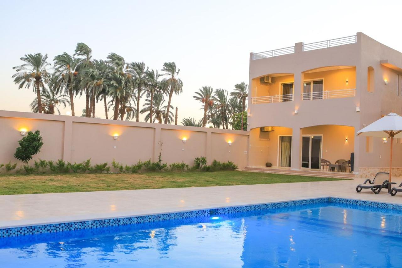 Royal Nile Villa - Pool View Apartment 1 ลักซอร์ ภายนอก รูปภาพ